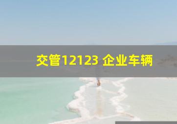 交管12123 企业车辆